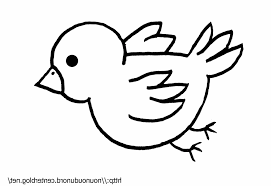 10 Cool De Avion Facile A Dessiner Photographie Dessin Oiseau Oiseau Coloriage Dessin Oiseau Facile