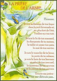 La Priere De L Arbre Good Quotes For Instagram Good Morning Happy Citations Humour