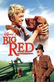 On rotten tomatoes, the film has a rating of 25% based on 83 reviews. Disney Movie Review Big Red