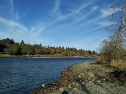Check spelling or type a new query. Best Trails In Sacramento California Alltrails