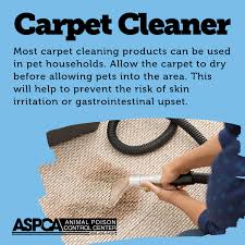 The ingestion of azalea, oleander, castor bean, sago palm, easter lily or yew plant material by an animal can be fatal. Aspca Animal Poison Control Center On Twitter Proper Use Of Carpet Deodorizing Products Should Not Cause Significant Harm Or Injury To Pets Should Your Pet Accidentally Come In Contact With The Freshly