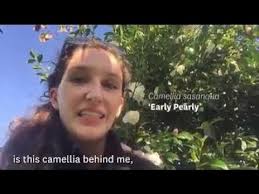 2022 Plant Lovers Challenge