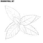 We would like to show you a description here but the site won't allow us. How To Draw 2pac