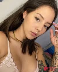 Exciting Vltnyourfav vip porn gals post