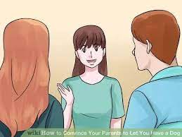 How To Persuade Your Parents To Get A Dog Dog Steps Dogs Parents