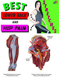 By strengthening the muscles in our back with targeted lower back exercises, we will not only reduce pain, but improve upon other areas like spine a proper squat requires ankle and hip mobility as well as core, back and glute strength. Severe Right Hip And Lower Back Pain Pain In Lower Right Back And Hip