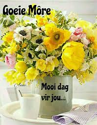 Pin On Ek S Lief Vir Afrikaans