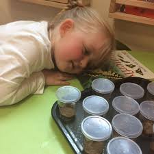 Caterpillars, butterflies, chicks, tadpoles and frogs.