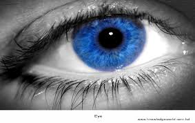 For many people, math is probably their least favorite subject in school. Knowledge World General Knowledge Quiz Questions With Answers On Biology About Theeyes Part 1