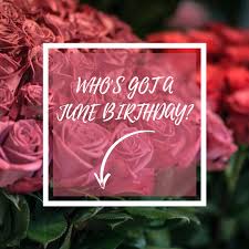 Or a 10 minute drive time from exit 4 of long beach freeway or exit 3 of i 605. Conroy S Flowers Long Beach Home Facebook