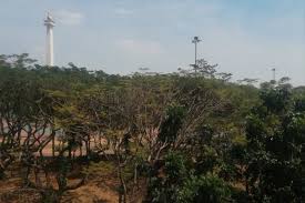 Panduan kini , blog maklumat online. Jakarta Mari Sudahi Berkawan Dengan Polusi Antara News