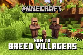 How To Make Your Own Villages In Minecraft