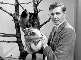 Дэвид аттенборо жизнь на нашей планете david attenborough a life on our planet (аластер фовергилл, джонатан хьюз, кит шолей). How Old Is David Attenborough And Other Interesting Facts Curious Earth