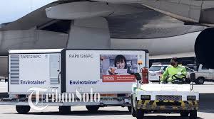 We did not find results for: Alasan Kimia Farma Sragen Tak Bisa Layani Vaksinasi Berbayar Tidak Memiliki Laboratorium Sendiri Halaman 4 Tribun Solo