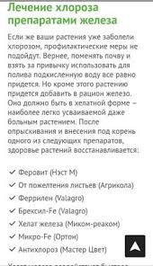что значит если человек снится со вторника на среду Pin By Svetlana Morgun On Tips Art Tips