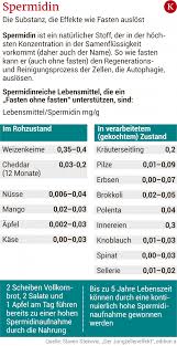 Spermidin fördert die autophagie und soll sowohl die gesundheit als auch die lebensdauer positiv beeinflussen. Anti Aging Mittel Wie Spermidin Wirkt Und Was Es Wirklich Kann Kurier At