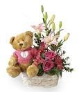 Image result for SEND SOMEONES /FLOWERS/CANDY/TEDDY BEAR/BASKETS OF FRUIT/AND GREETING CARDS/