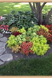Idees Geniales De Jardin D Ombre Jardin D Ombre Idees Jardin Beaux Jardins