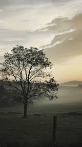 1242x2160 best nature iphone 4k wallpaper> download. Vintage Desktop Wallpaper 4k Novocom Top