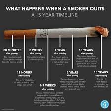 Pin On Being Healthy