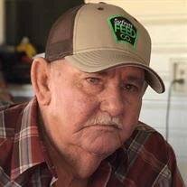 Mr. David Smith Obituary