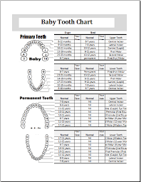 baby teeth chart editable printable ms excel template