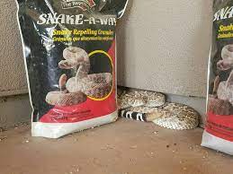 There are better ways to keep snakes away from your house than using mothballs. Keeping Snakes Away Advice From A Wildlife Biologist Field Ecology