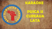 Karaoke Pusca Si Cureaua Lata Versuri Negativ 2019 Youtube
