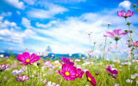 Nature, turquoise, sea, beach, water, sky, summer, travel, tropical. 48 Summer Wallpaper Widescreen On Wallpapersafari
