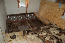 If you do not waterproof the experts show how to install the subfloor in a bathroom. Before Older Wood Frame Homes Do Suffer From Subfloor Damage Through The Years Replaced Subfloor In The Next Phot Flooring Bathroom Flooring House Flooring