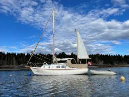 Image result for Enydra