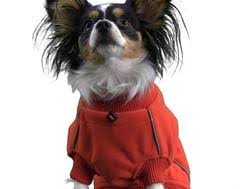 Hurtta Waterproof Fleece Jacket Wet Nose Boutique