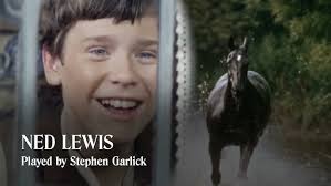 The Adventures of Black Beauty: The Complete Series