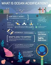 Science Infographic And Charts What Is Ocean Acidification Infographic By Elzemiek Zinkstok Lushomo F Ocean Acidification Ocean Science Science Infographics