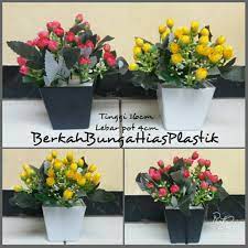 We did not find results for: Bunga Plastik Hiasan Meja Bunga Hias Plastik Bunga Mawar Plastik Shopee Indonesia