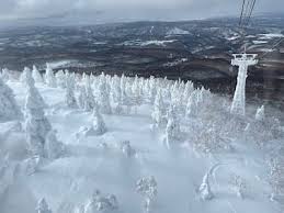 Image result for Hakkoda Walk