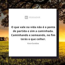 Pensador On Instagram Siga O Conselho De Cora Coralina Coracoralina Poesia Pensador Frases Cards Against Humanity Cards Human