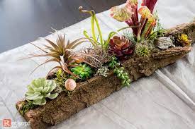 Lesen sie hier mehr zur heilpflanze und ihrer wirkung. Gartendekoration Tischdeko Baumrinde Ein Designerstuck Von Rotkopf Design Bei Dawanda Baumrinde Dekoration Topfblumen