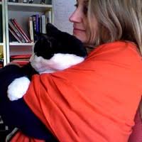 PDF) Zecchi, Barbara (2015): «EL CINE DE PEDRO ALMODÓVAR: DE ÓPTICO A  HÁPTICO, DE GAY A “NEW QUEER”» Área Abierta, 15.1