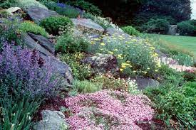 Rock Garden Landscaping With Rocks Rock Garden Rockery Garden