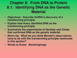 The name of the process where dna is copied during the cell cycle; Ppt Chapter 8 From Dna To Protein 8 1 Identifying Dna As The Genetic Material Powerpoint Presentation Id 5412336
