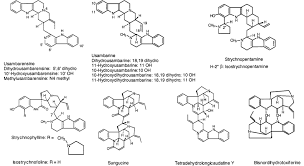 Image result for Strychnos gossweileri