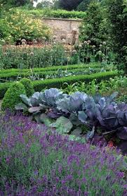 Pin By Adelaide Everheart On Grown Your Own Urban Garden Vegetable Garden Edible Garden