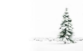 White christmas lights wallpaper 65 images. Black And White Christmas Wallpapers Top Free Black And White Christmas Backgrounds Wallpaperaccess