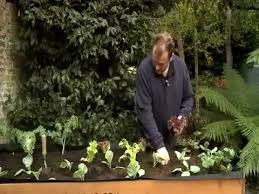 Your garden is a mix of beauty. How To Plant Vegetables With Your Vegtrug Youtube