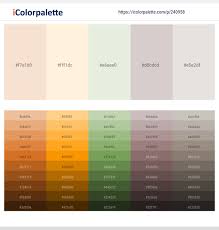 Check spelling or type a new query. 7 Latest Color Schemes With Antique White And Papaya Whip Color Tone Combinations 2021 Icolorpalette