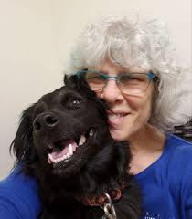 Kim Wilson Pet Care & Training