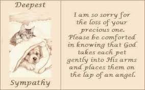 All that we love deeply becomes a part of us. — helen keller. I Am So Sorry For The Loss Of Your Precious One Please Be Comforted In Knowing That God Takes Each Pet Gentl Pet Sympathy Quotes Dog Sympathy Sympathy Quotes