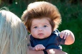 剛毛赤ちゃん01 2 month old baby bouffant hair bouffant