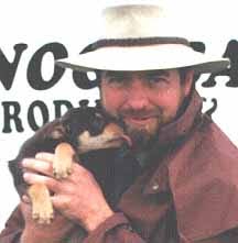 KELPIE SHEEPDOGS FOR SALE